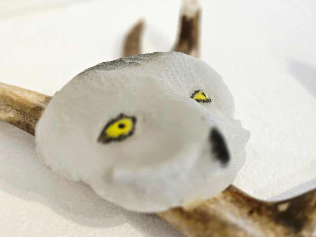Snowy Owl
