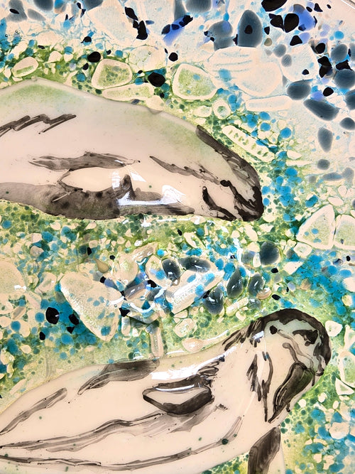 Beluga Joy