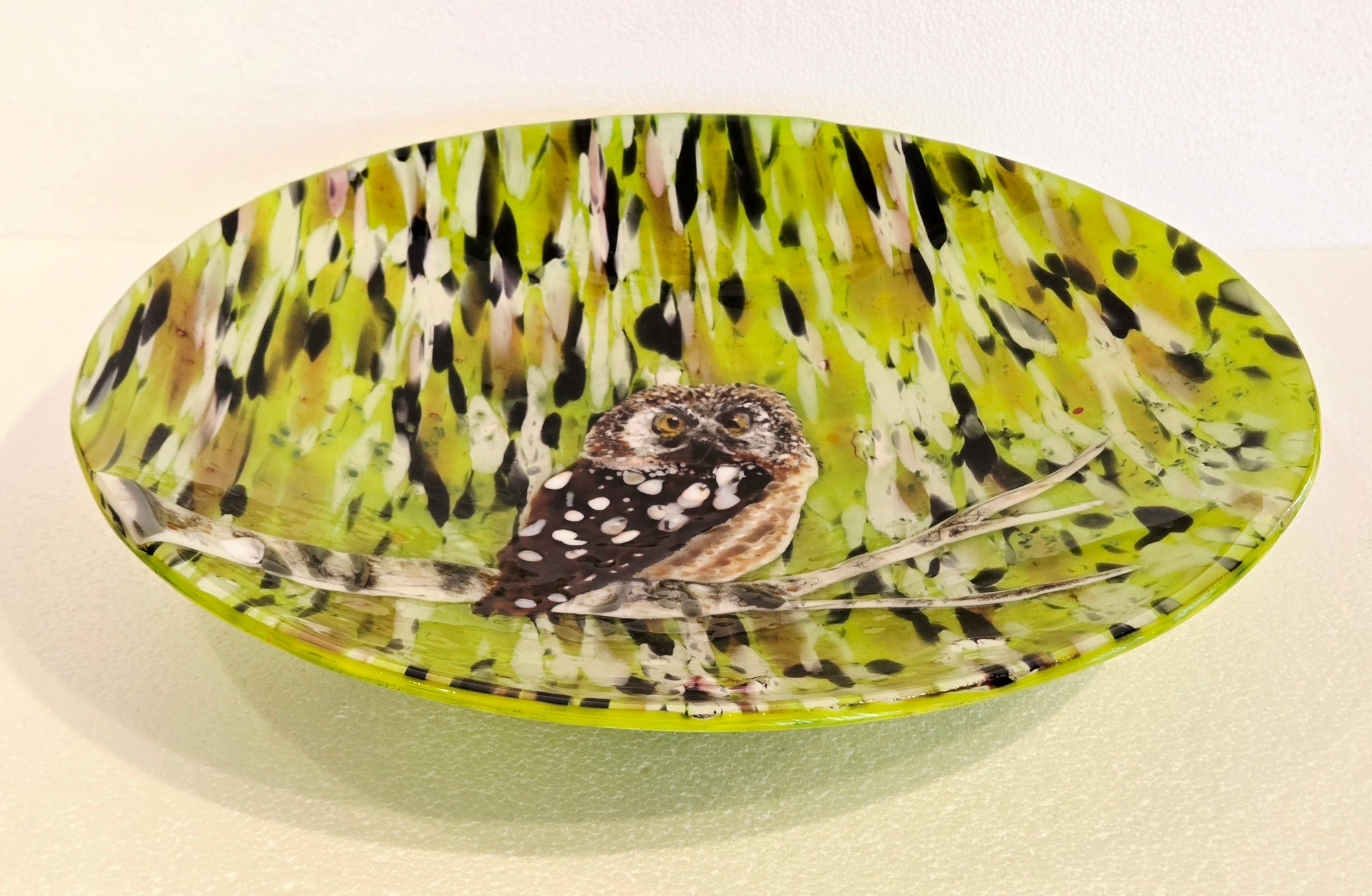 Boreal Owl