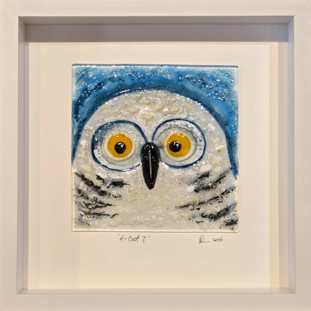 H-Owl I
