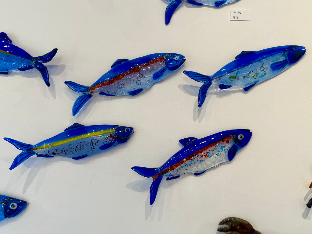 Herring