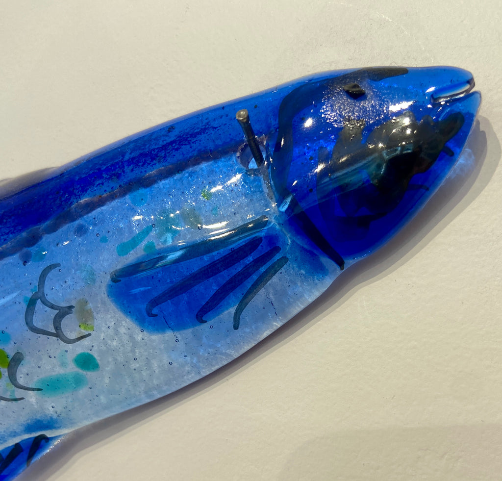 Herring