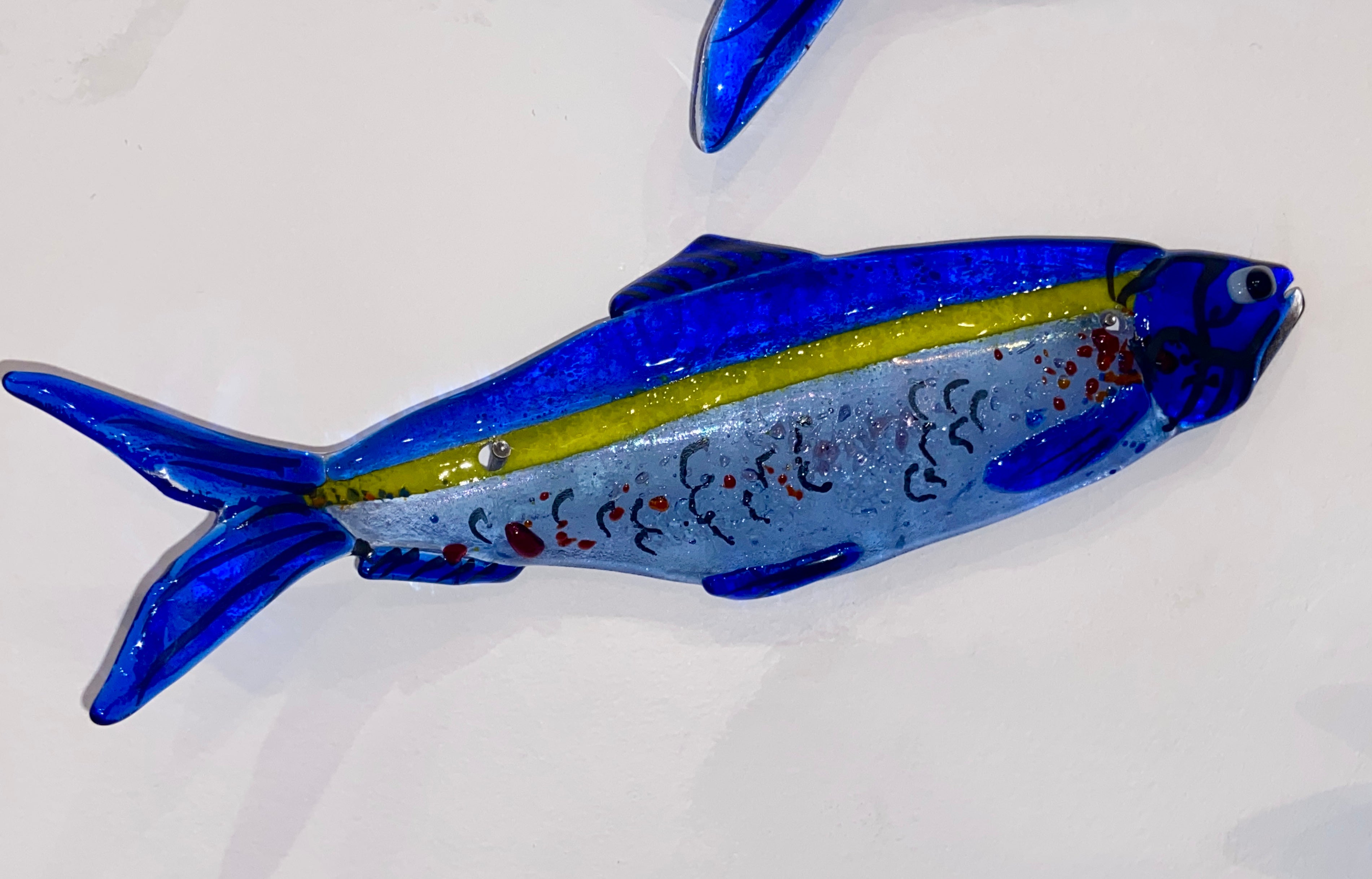 Herring