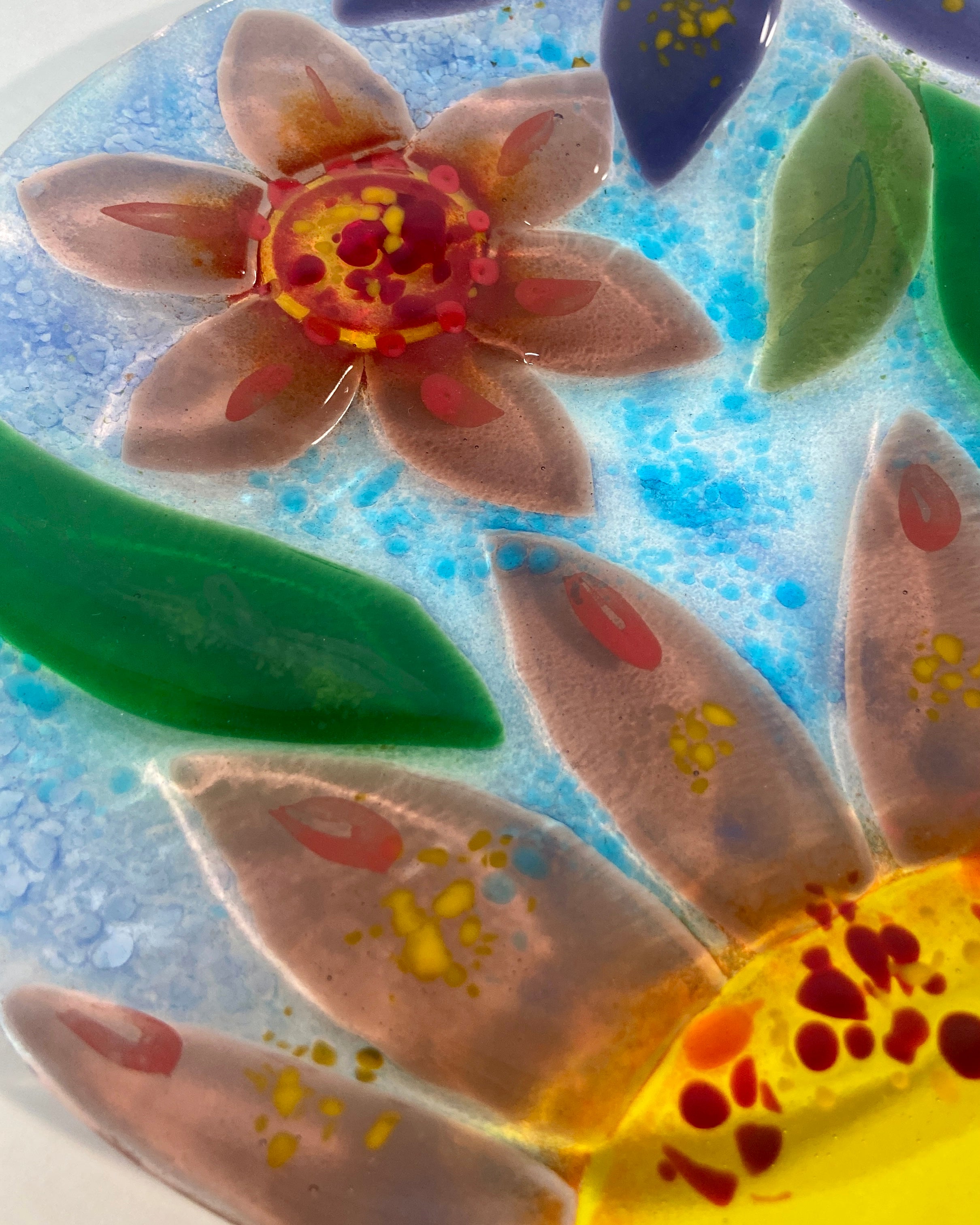 Blooms