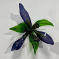 Wild Iris