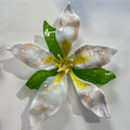 Apple Blossom