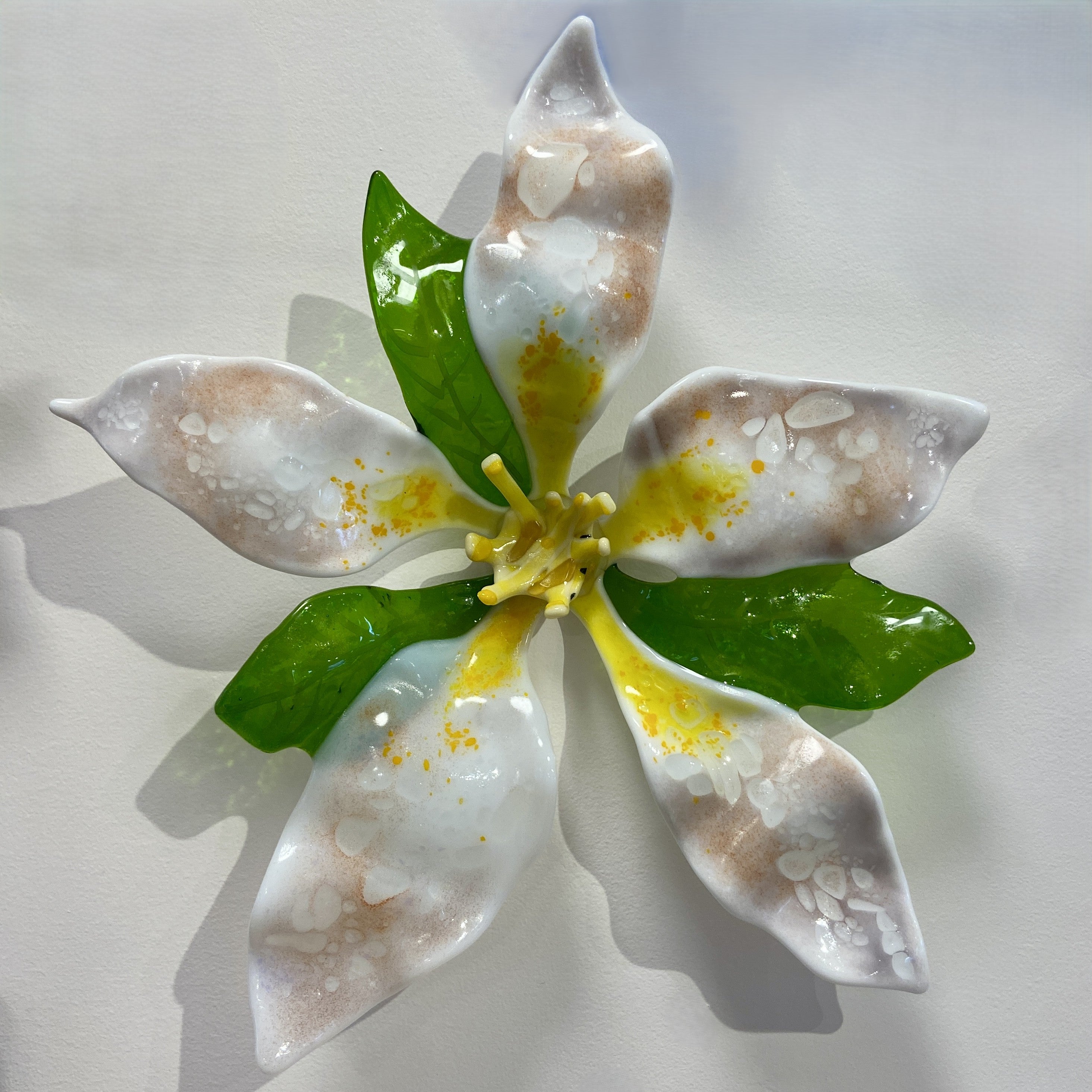 Apple Blossom
