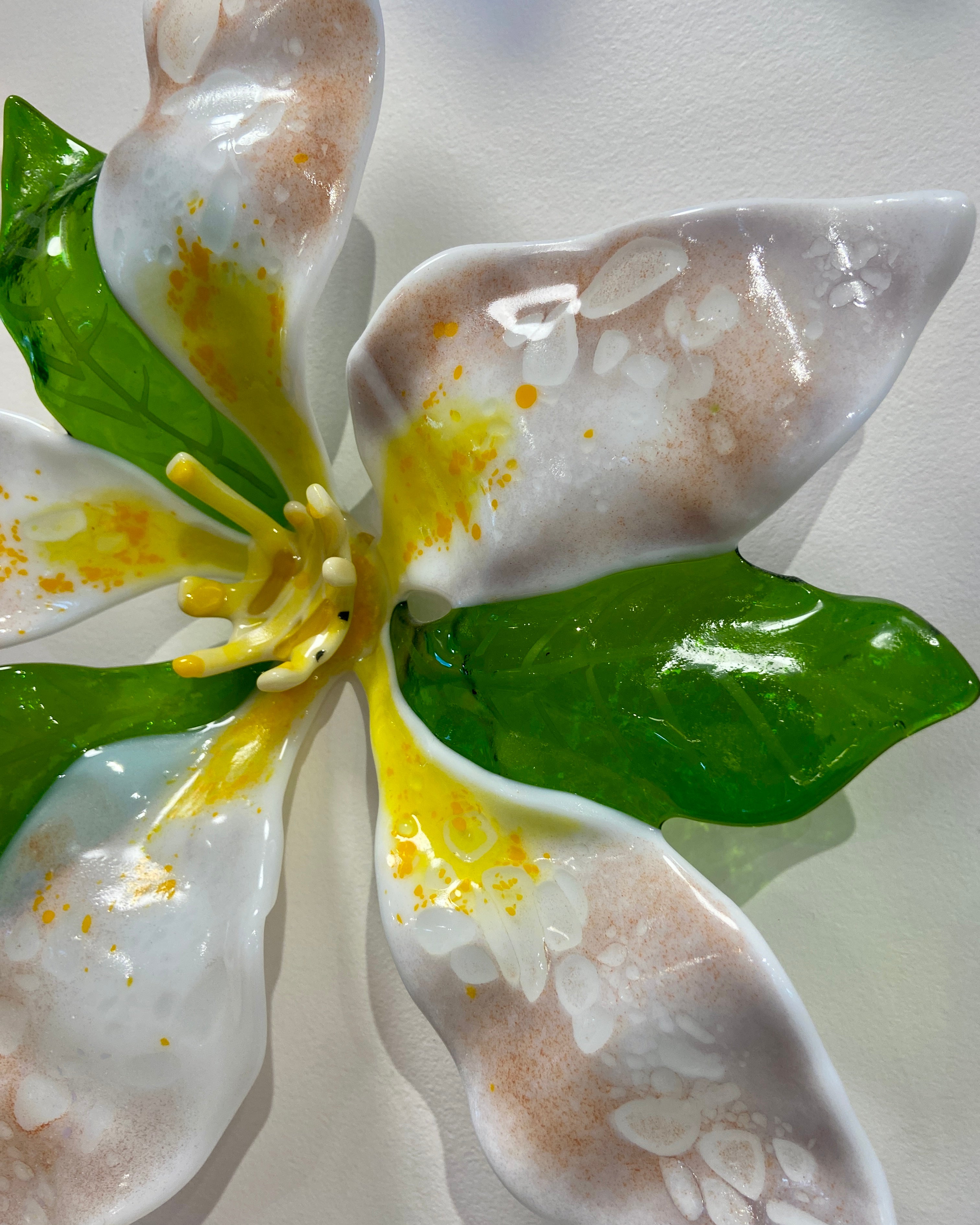 Apple Blossom