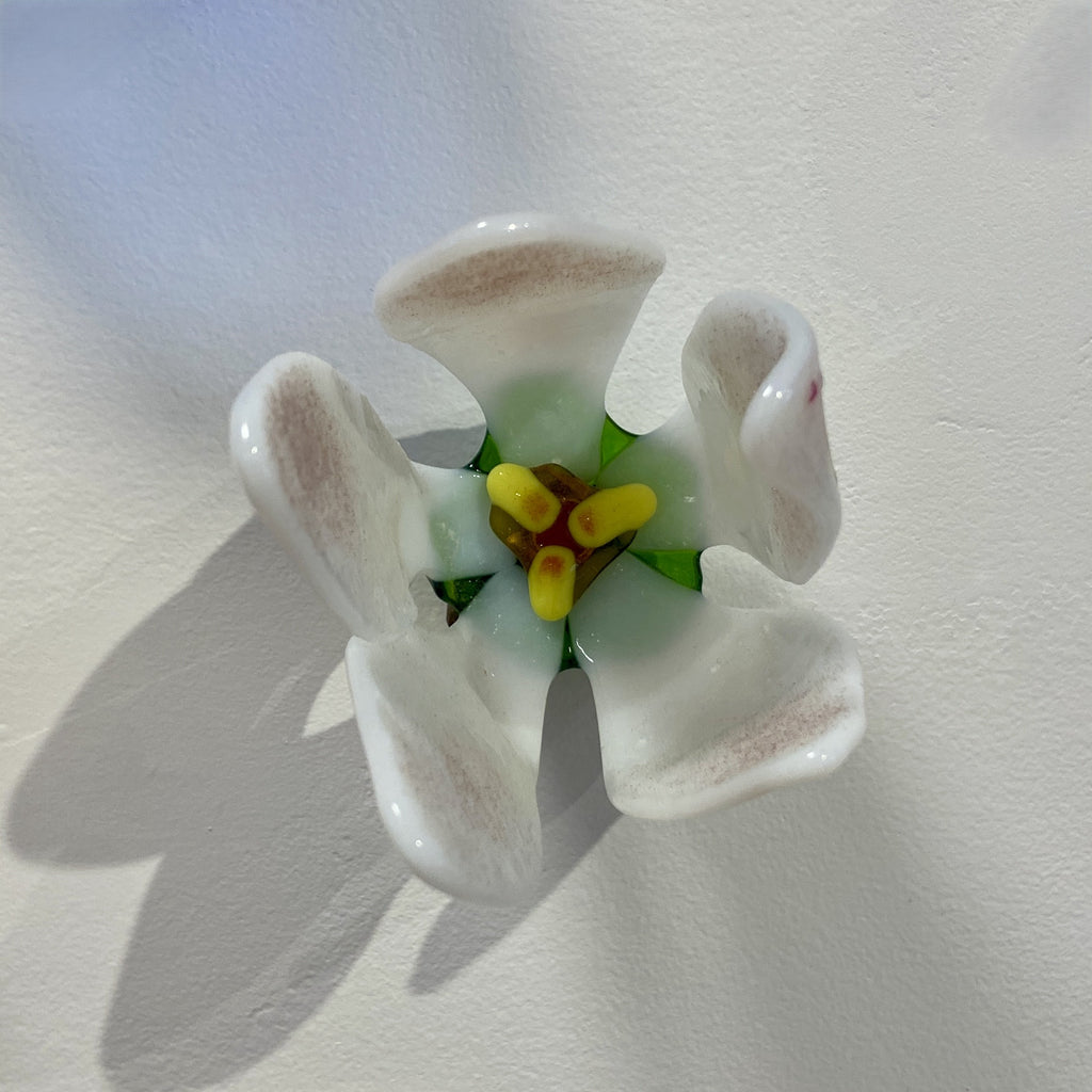 Small Apple Blossom