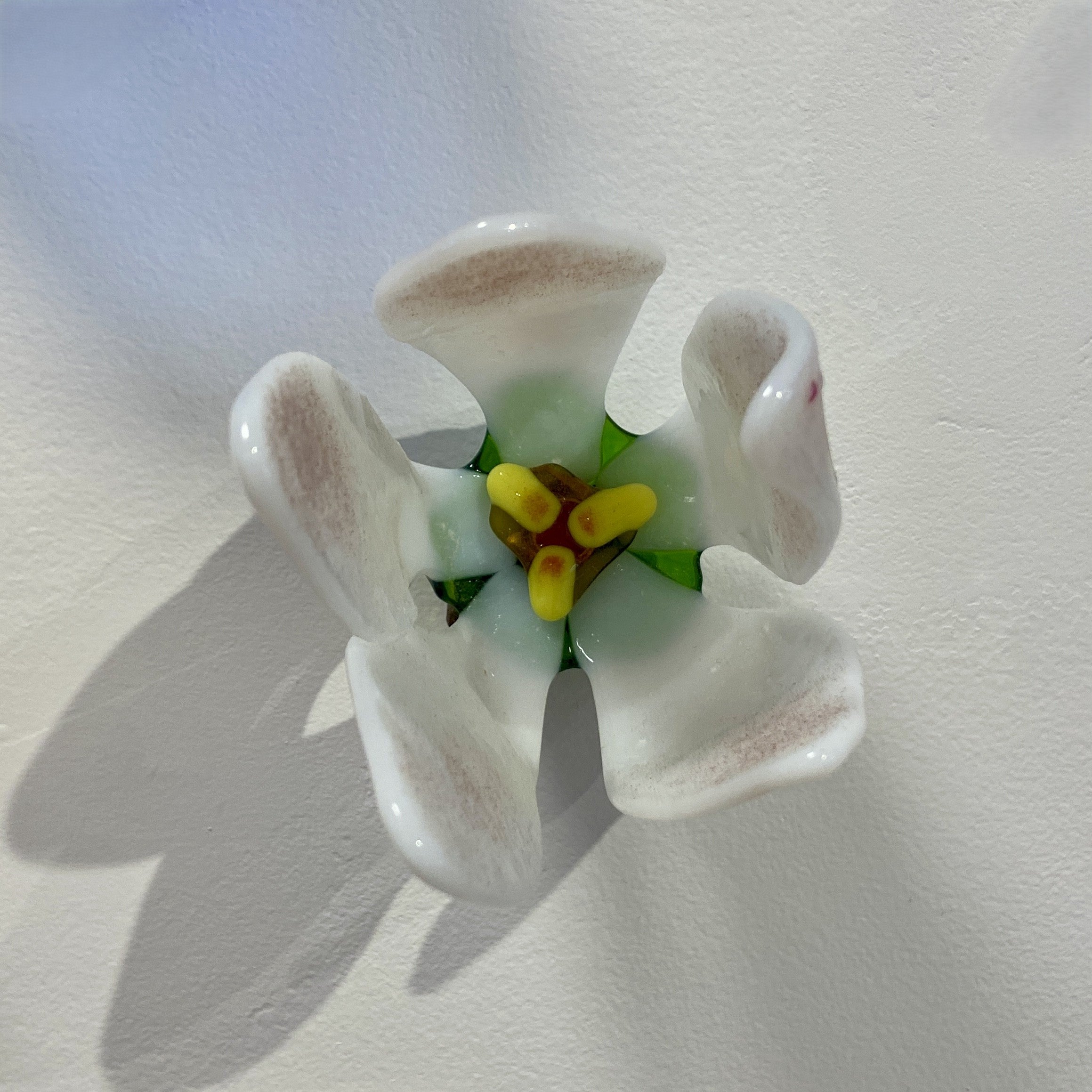 Small Apple Blossom