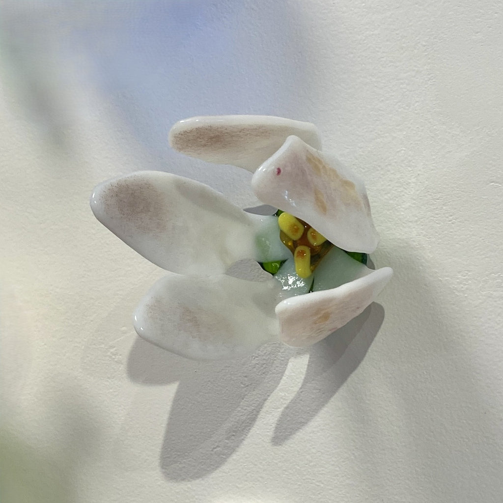Small Apple Blossom