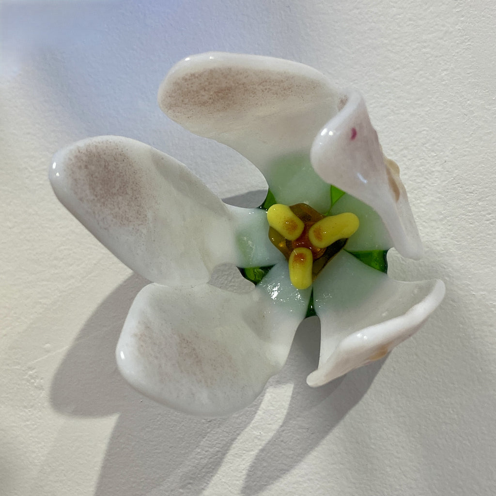Small Apple Blossom