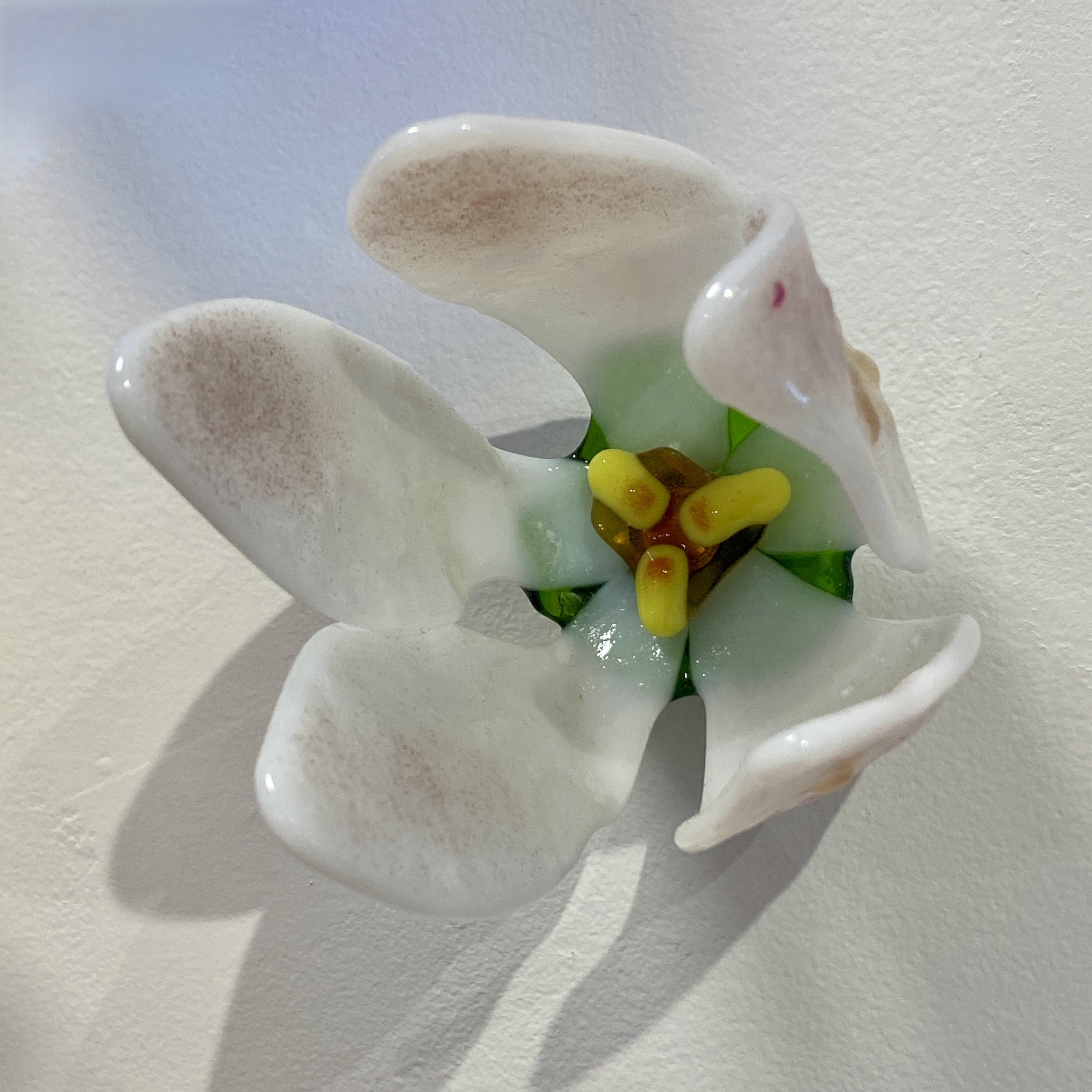 Small Apple Blossom