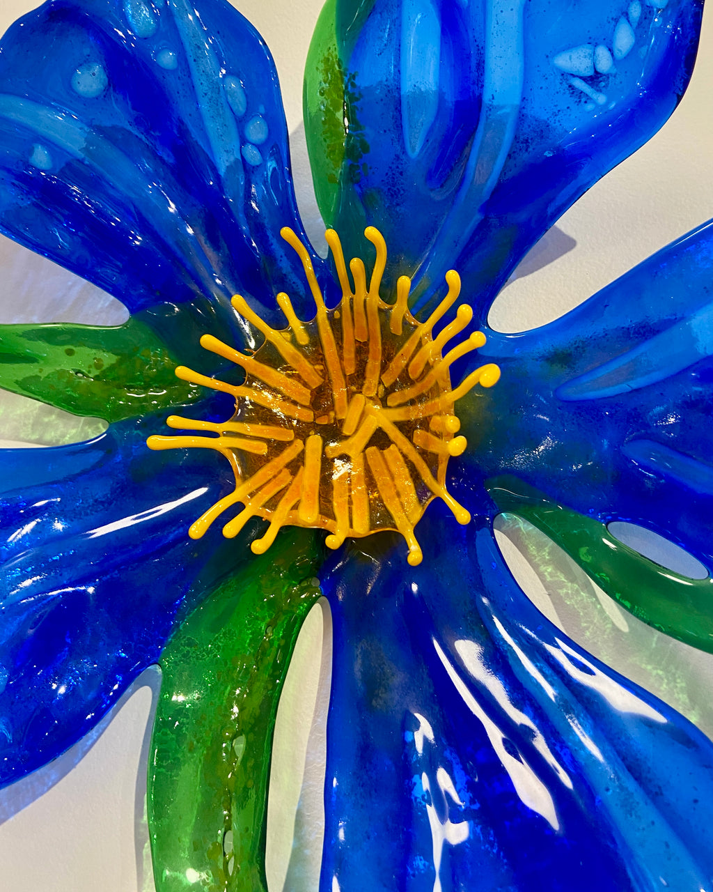 Blue Blossom