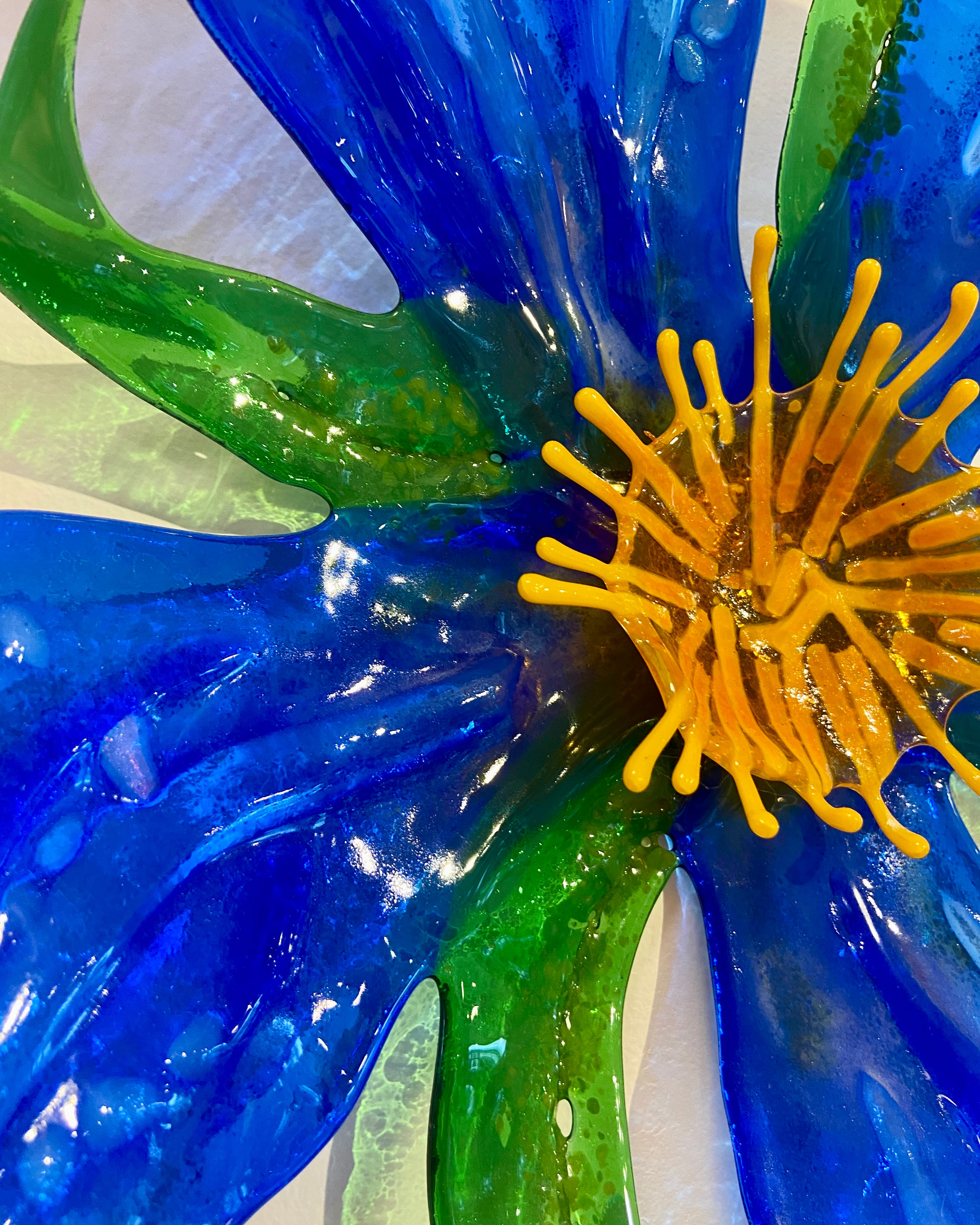 Blue Blossom