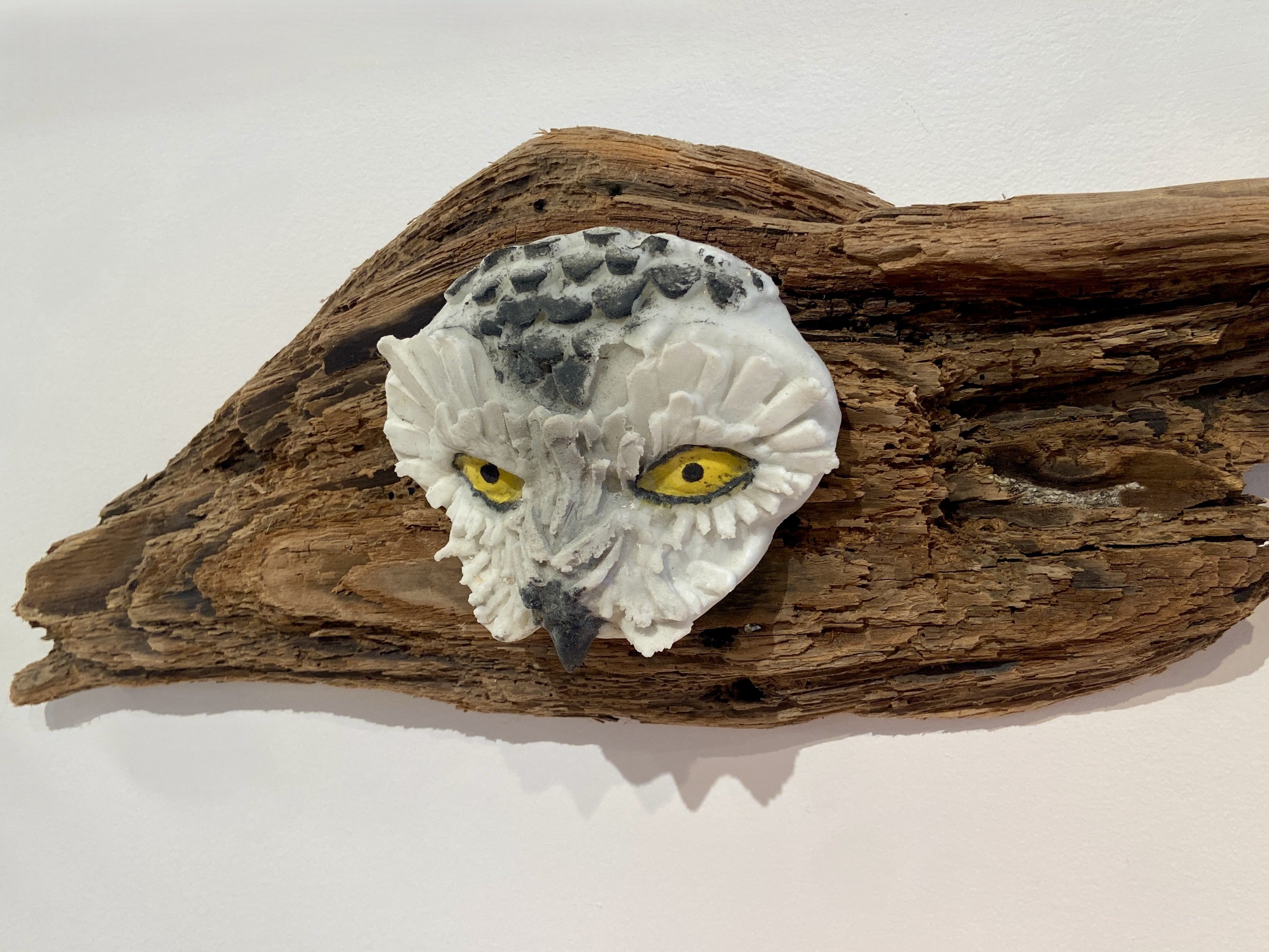 Winter Owl