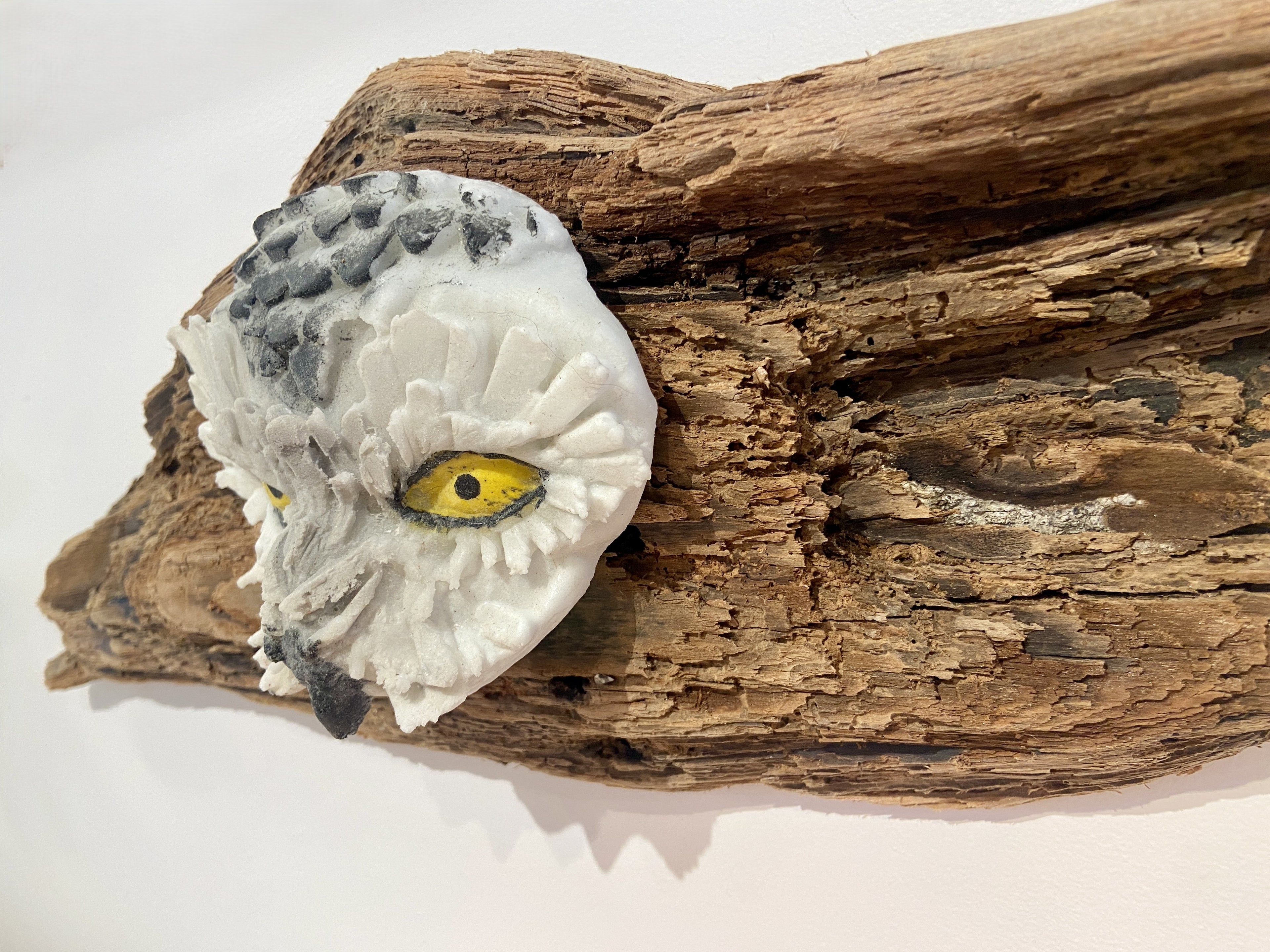 Winter Owl