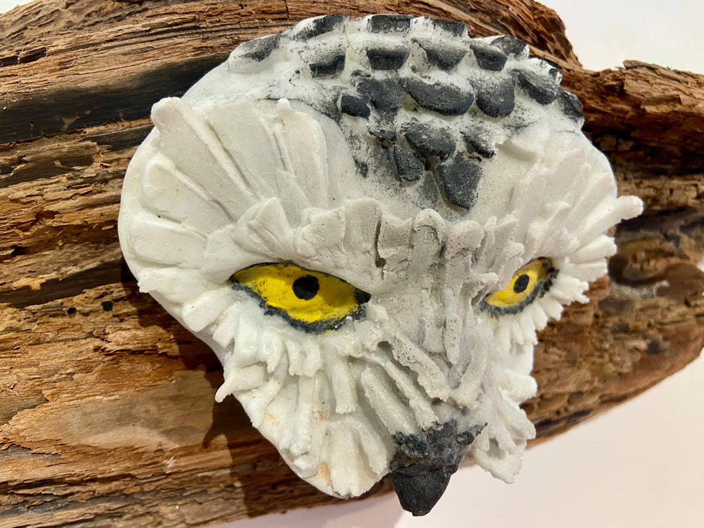 Winter Owl