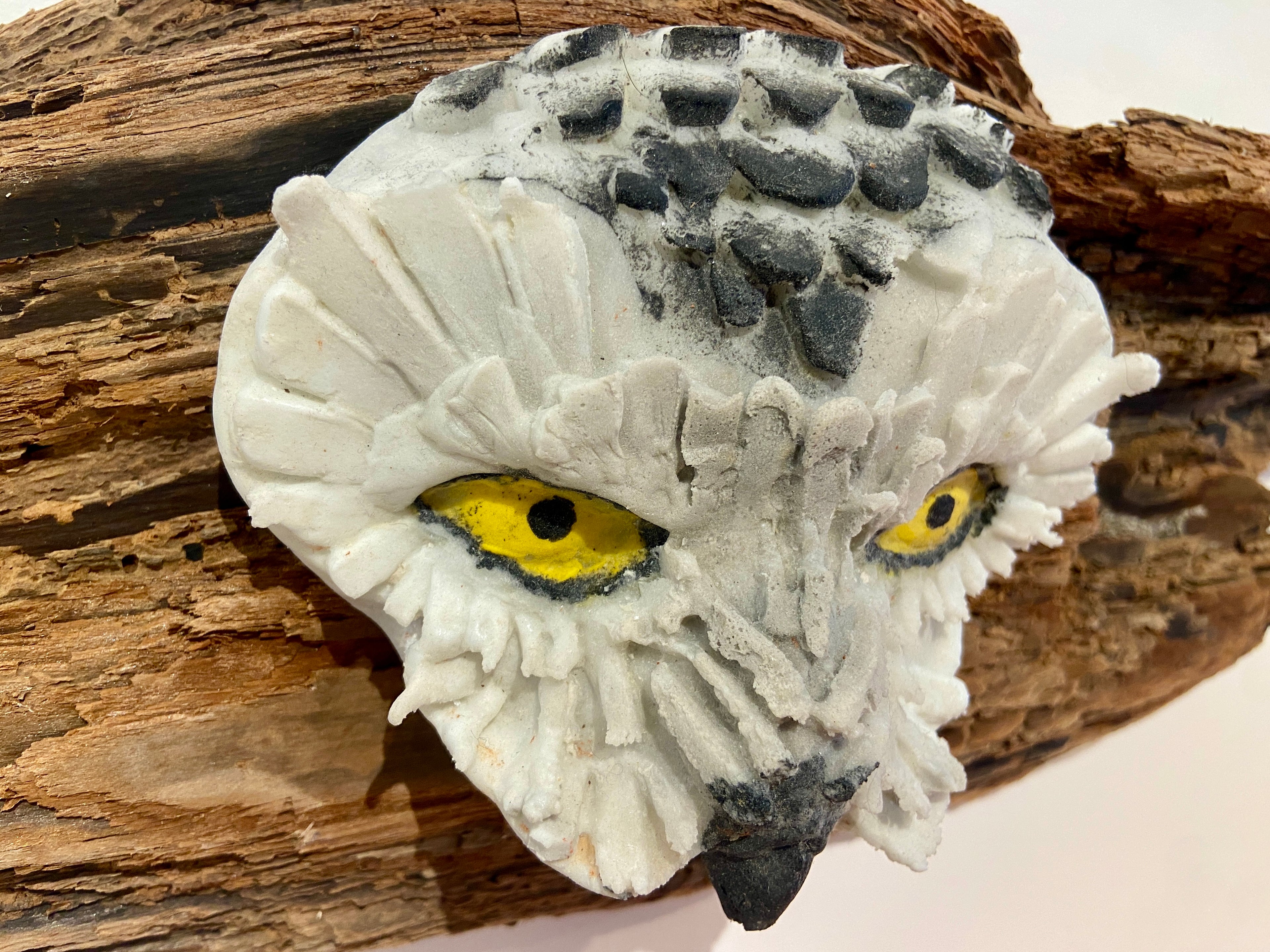 Winter Owl