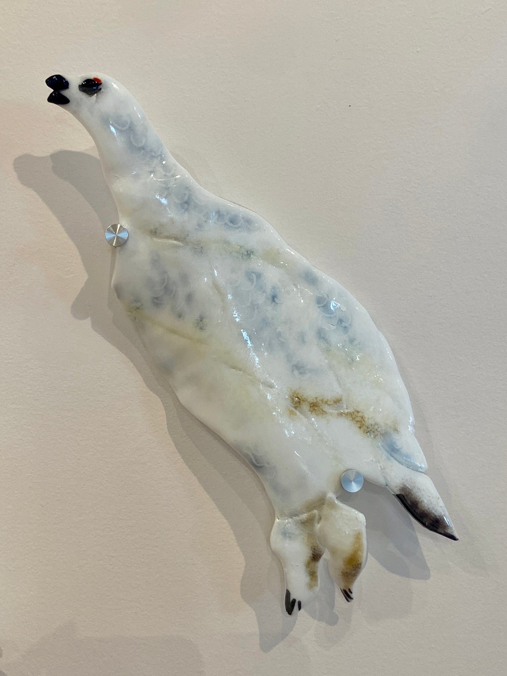 Winter Ptarmigan