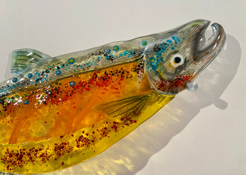 Arctic Char I