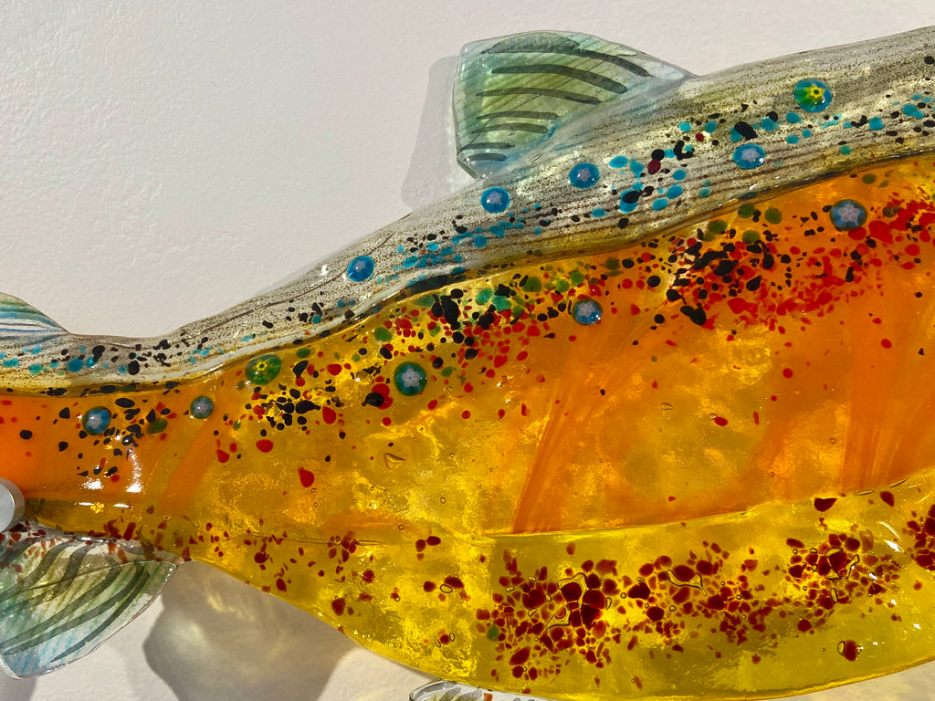 Arctic Char I
