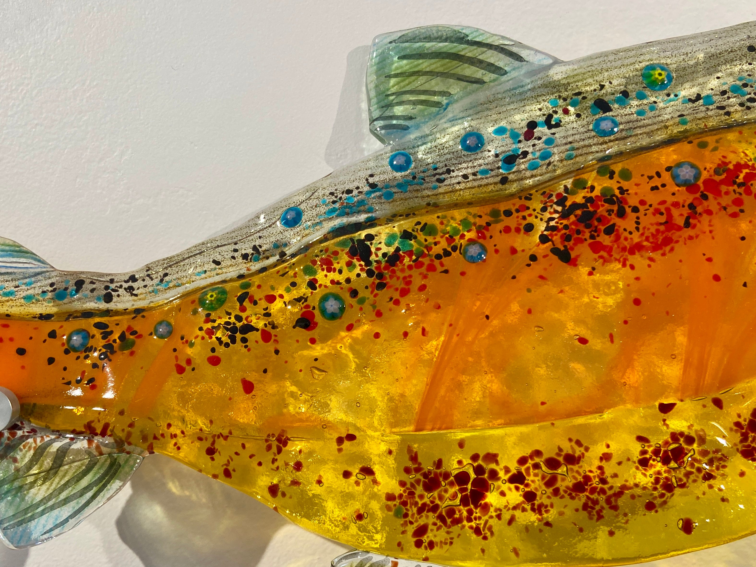 Arctic Char I