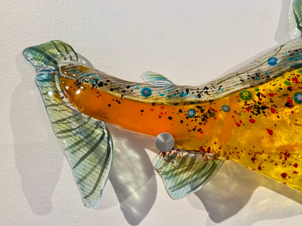 Arctic Char I