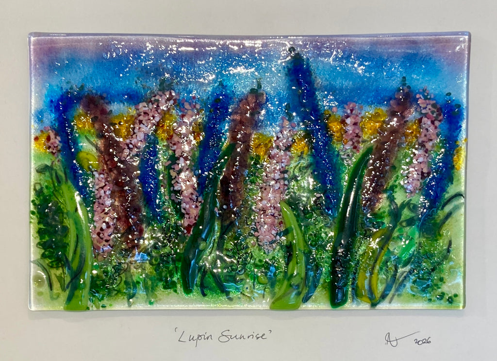 Lupin Sunrise