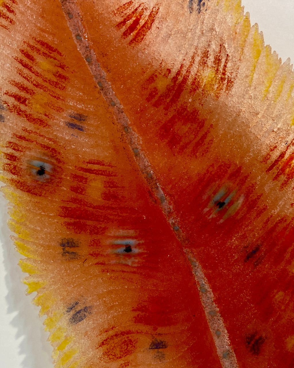 Feather on a Breeze