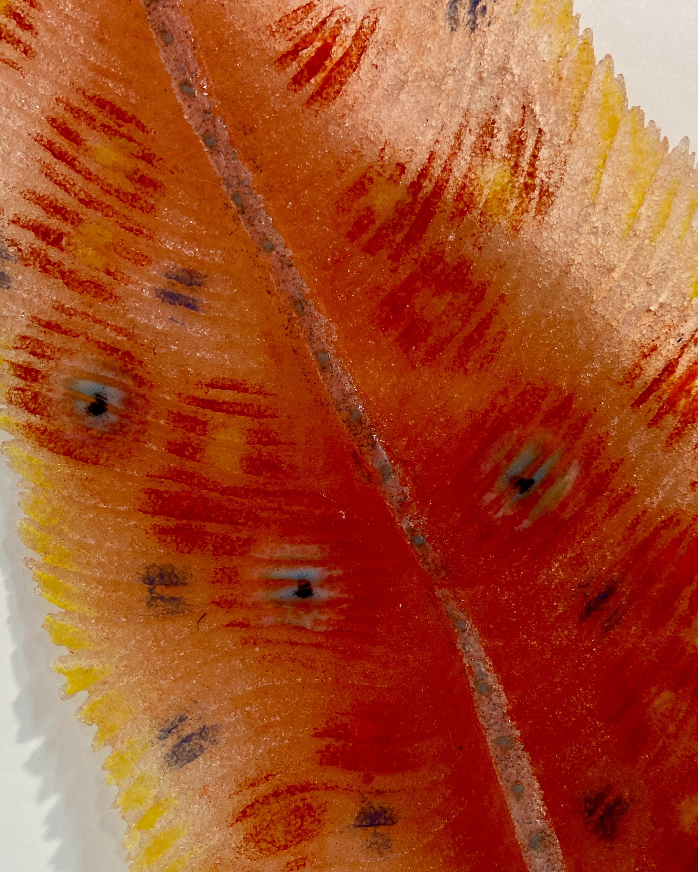 Feather on a Breeze