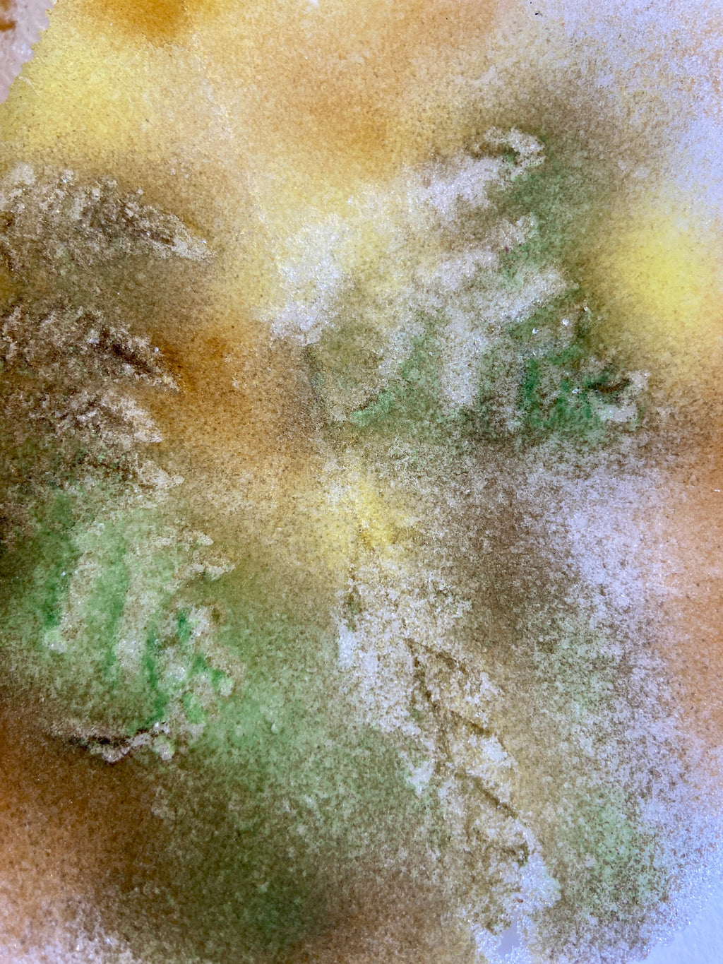 Leaf Amongst the Ferns