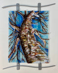 Praising the Winter Birch