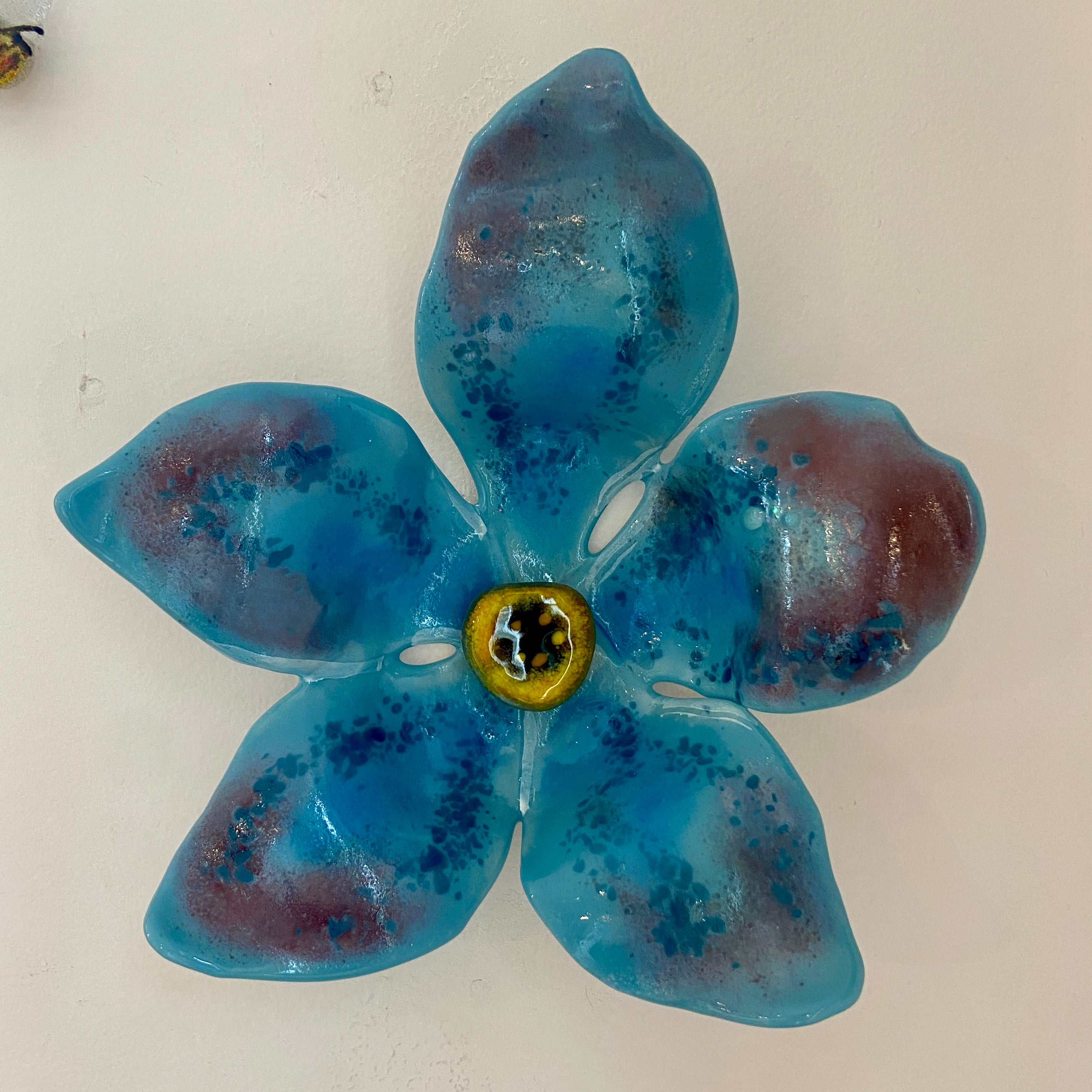 Forget-me-not