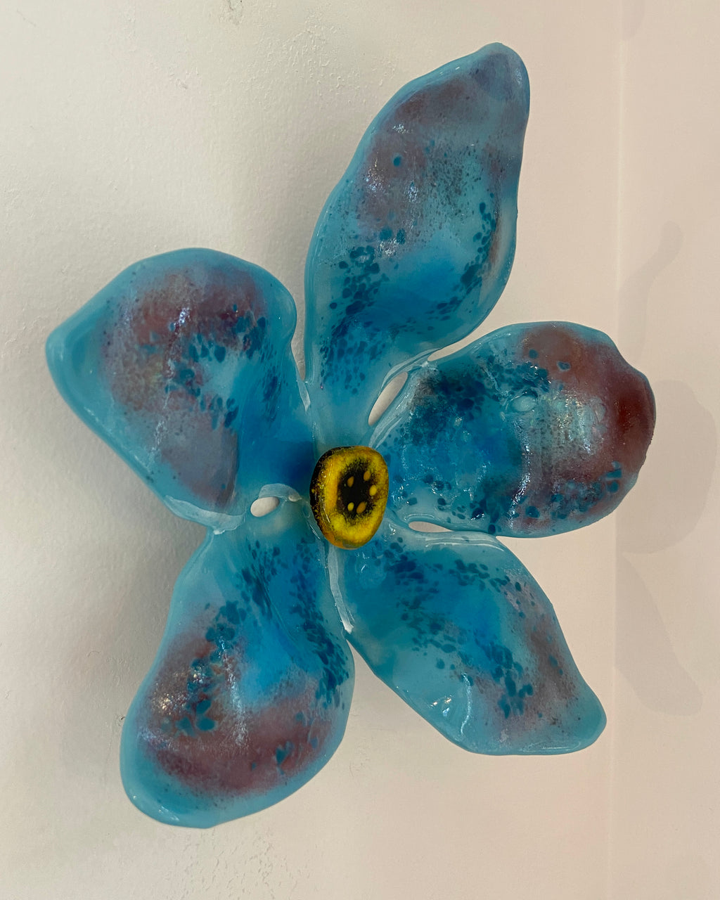 Forget-me-not