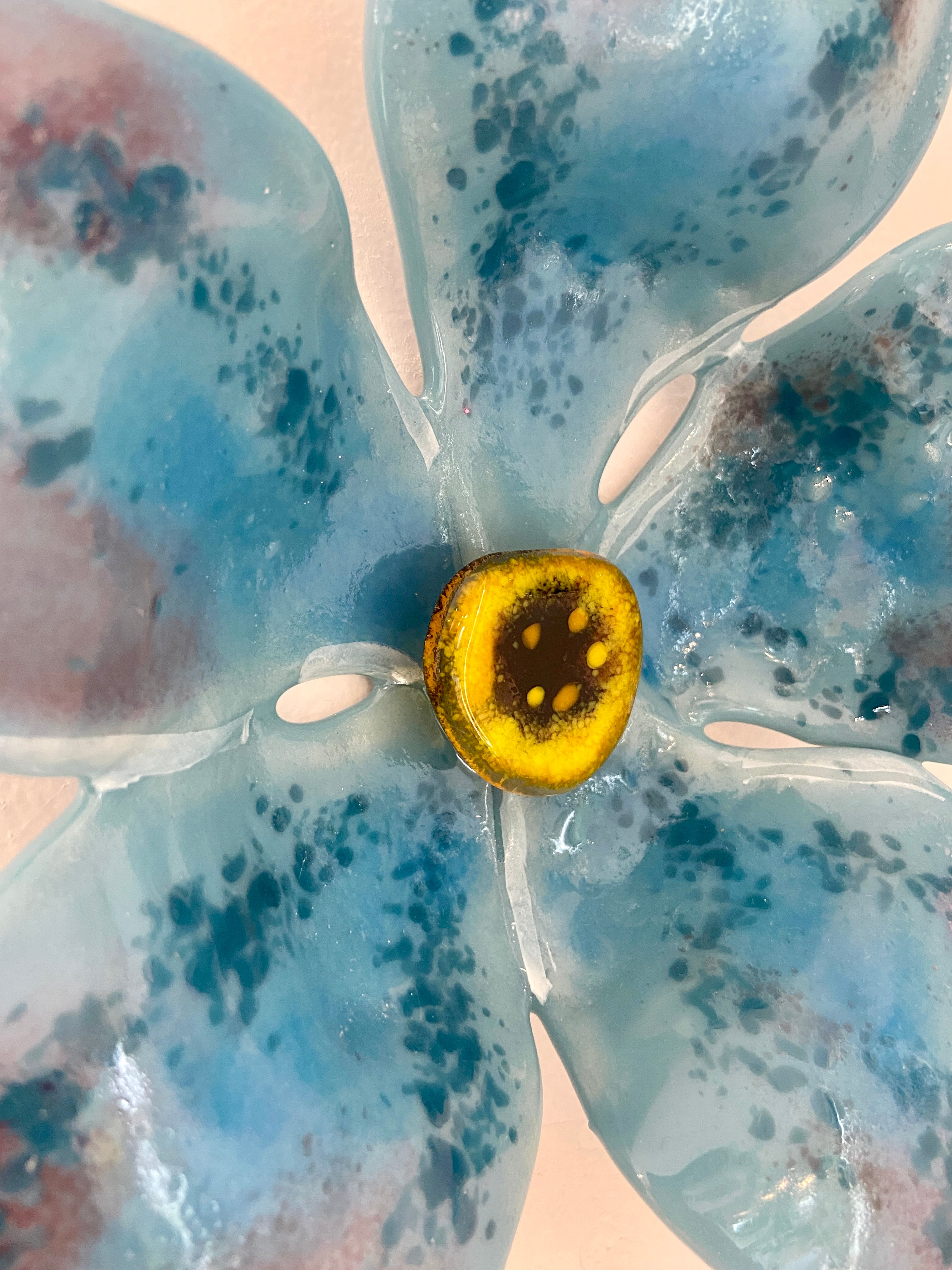 Forget-me-not