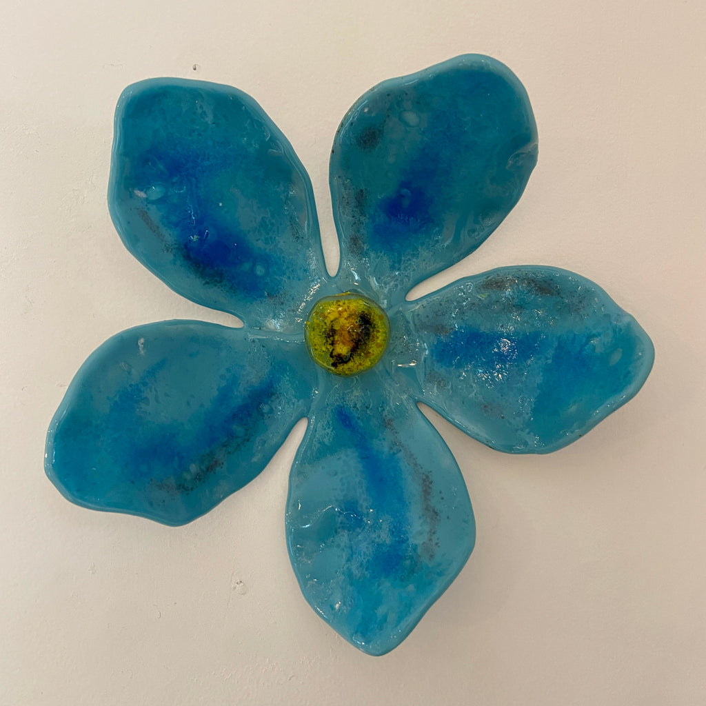 Forget-me-not
