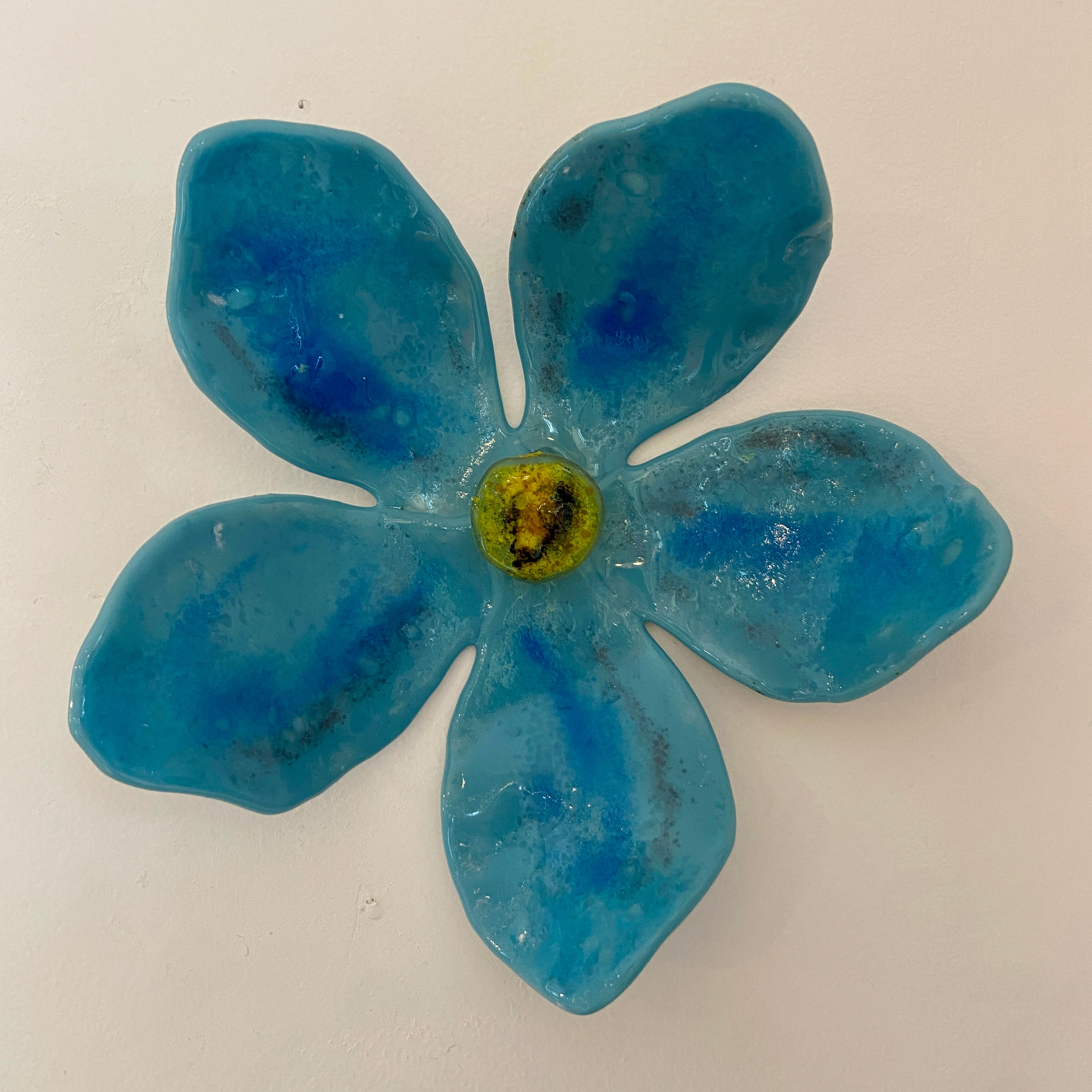 Forget-me-not