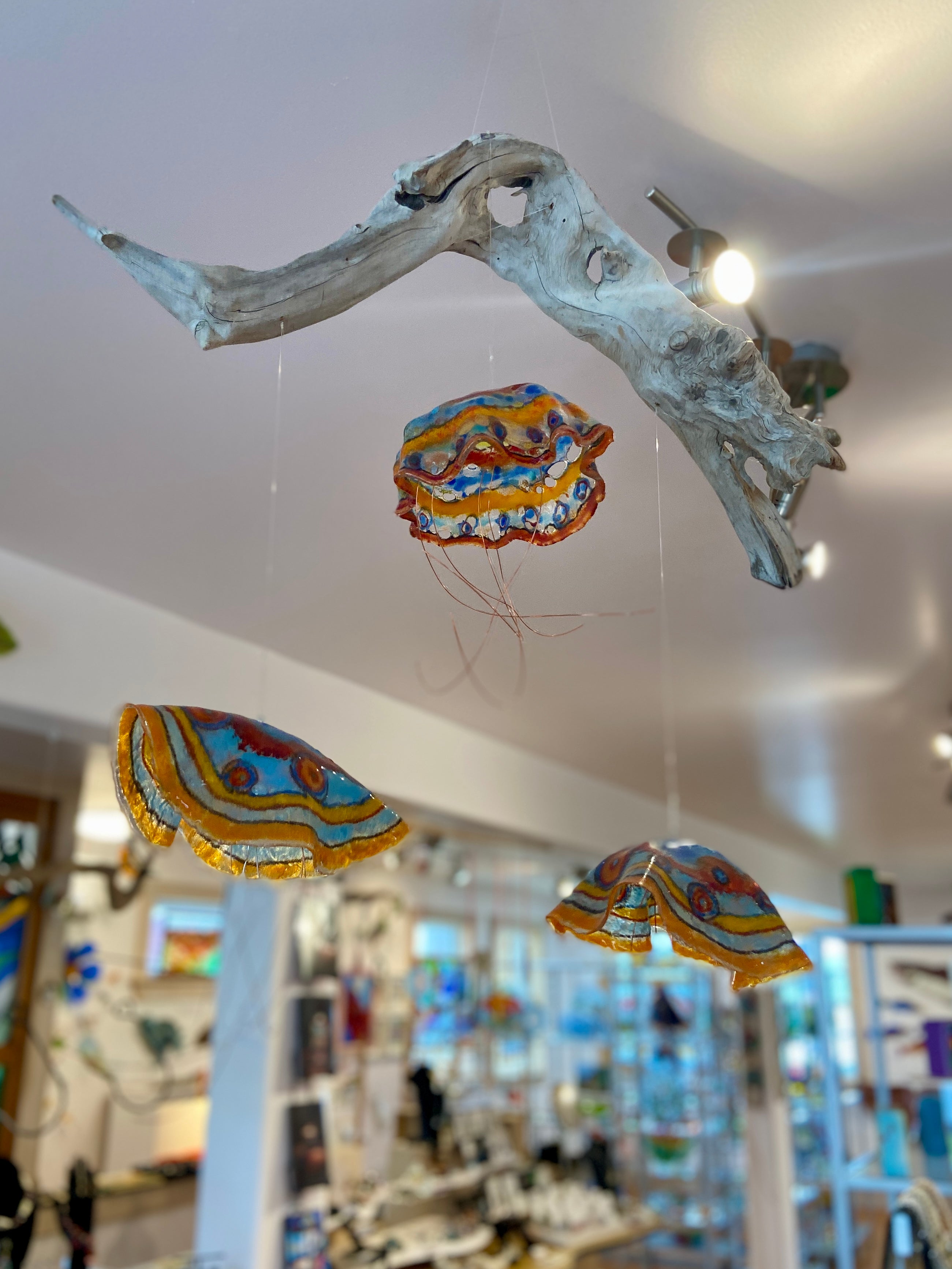 Lovely Jellies