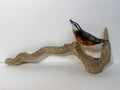 Nuthatch