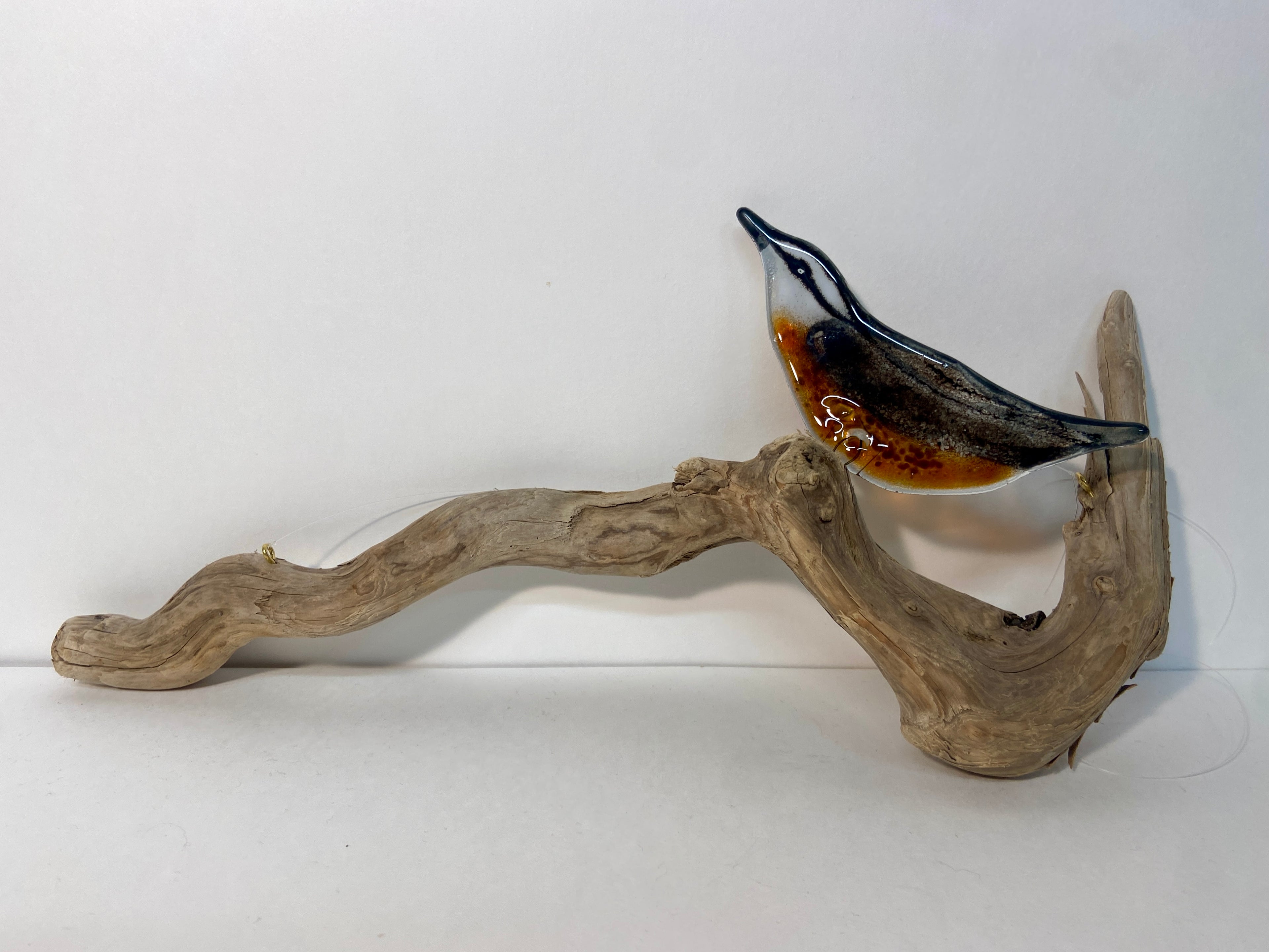 Nuthatch