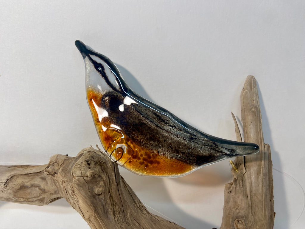 Nuthatch