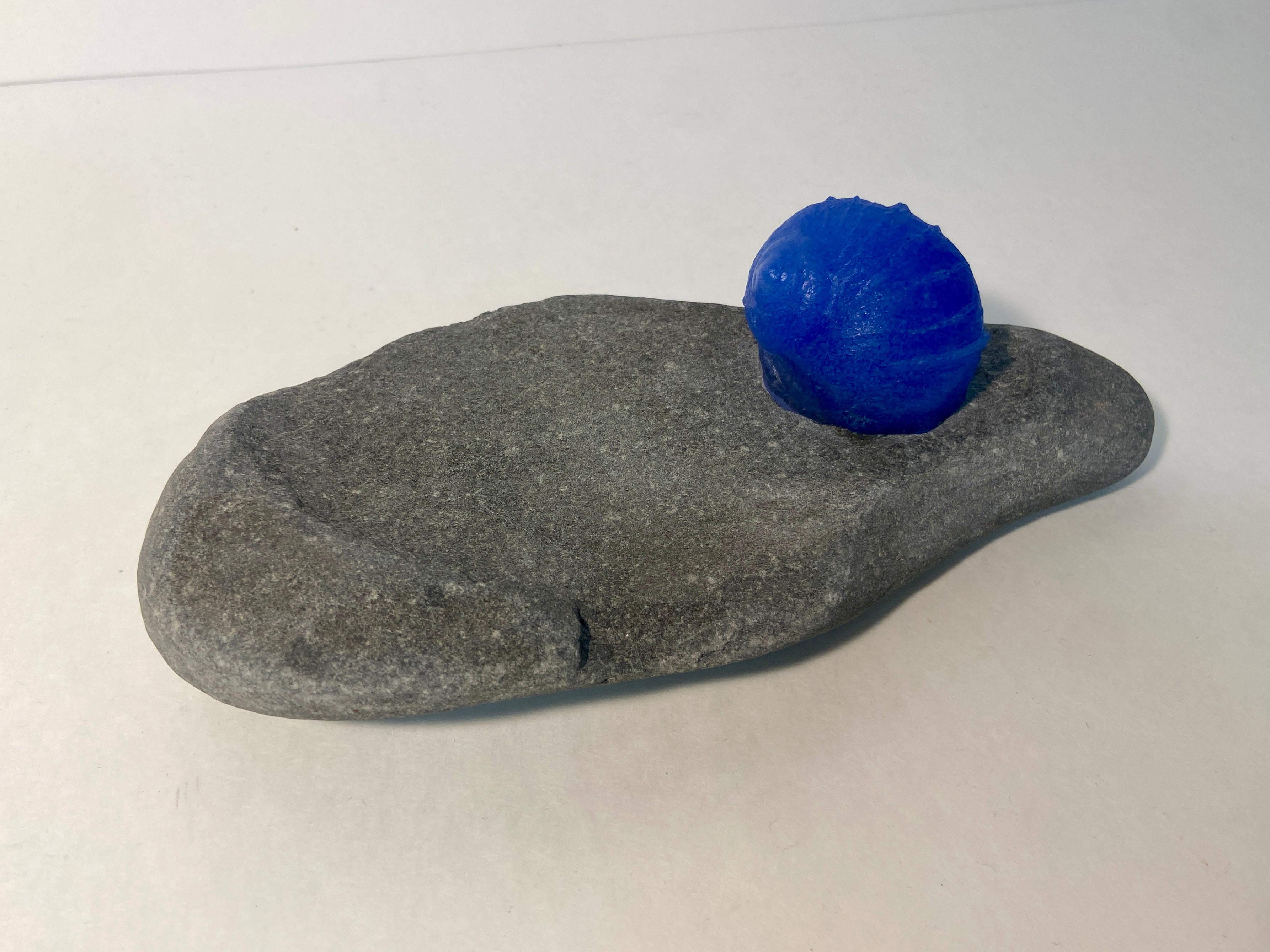 Moon Snail Soap Dish