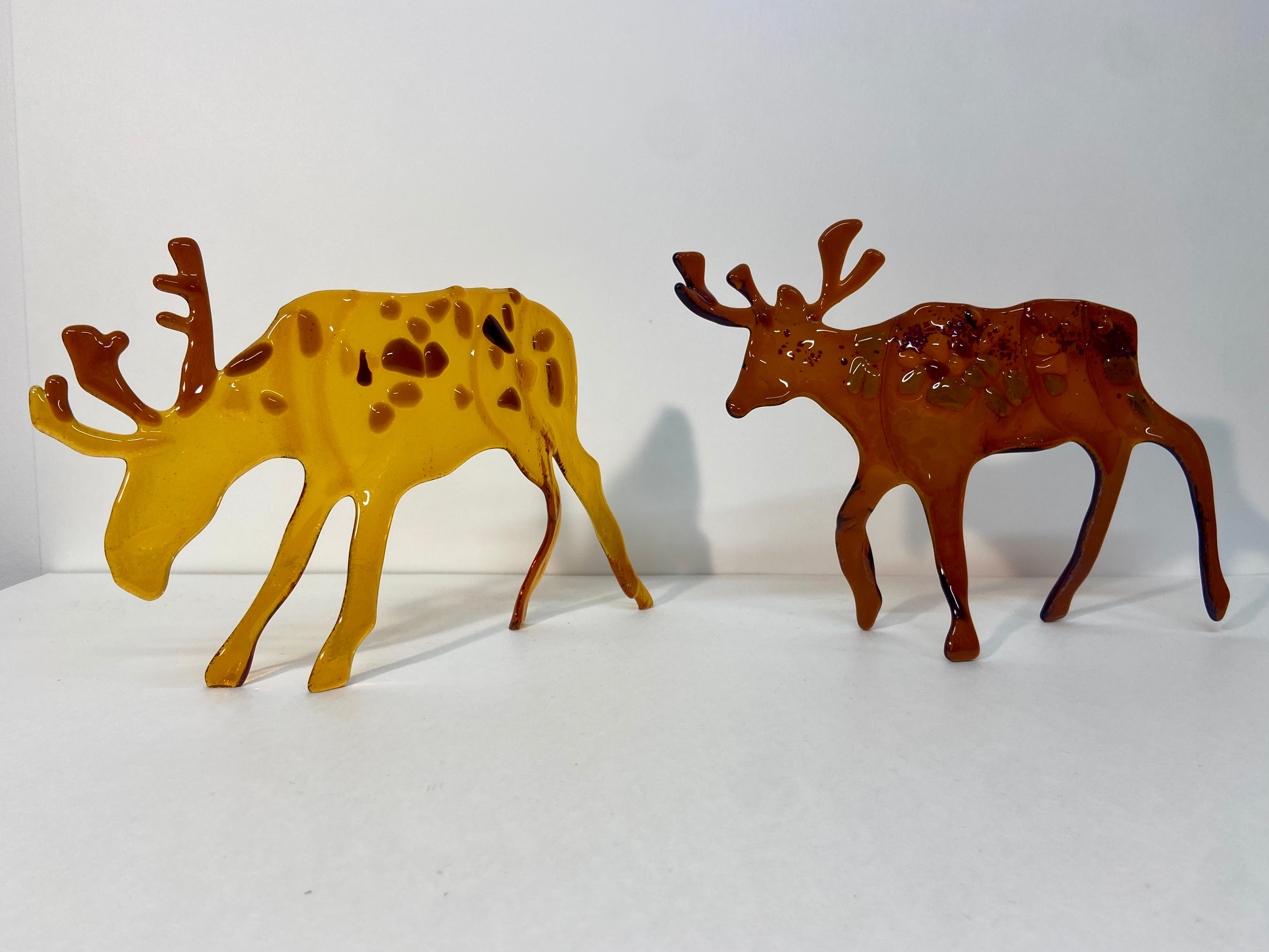 Caribou