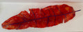 Passion Feather