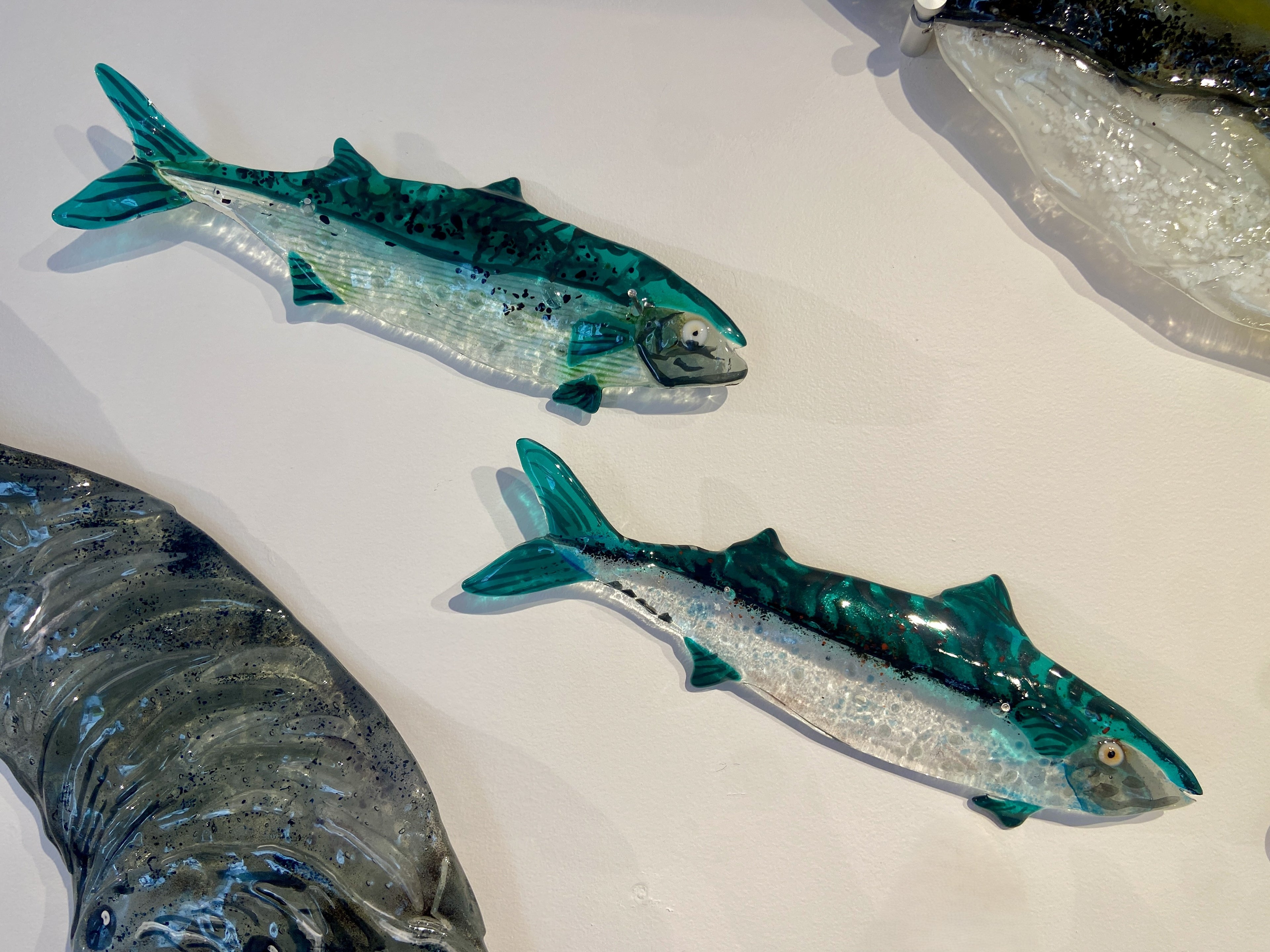 Mackerel
