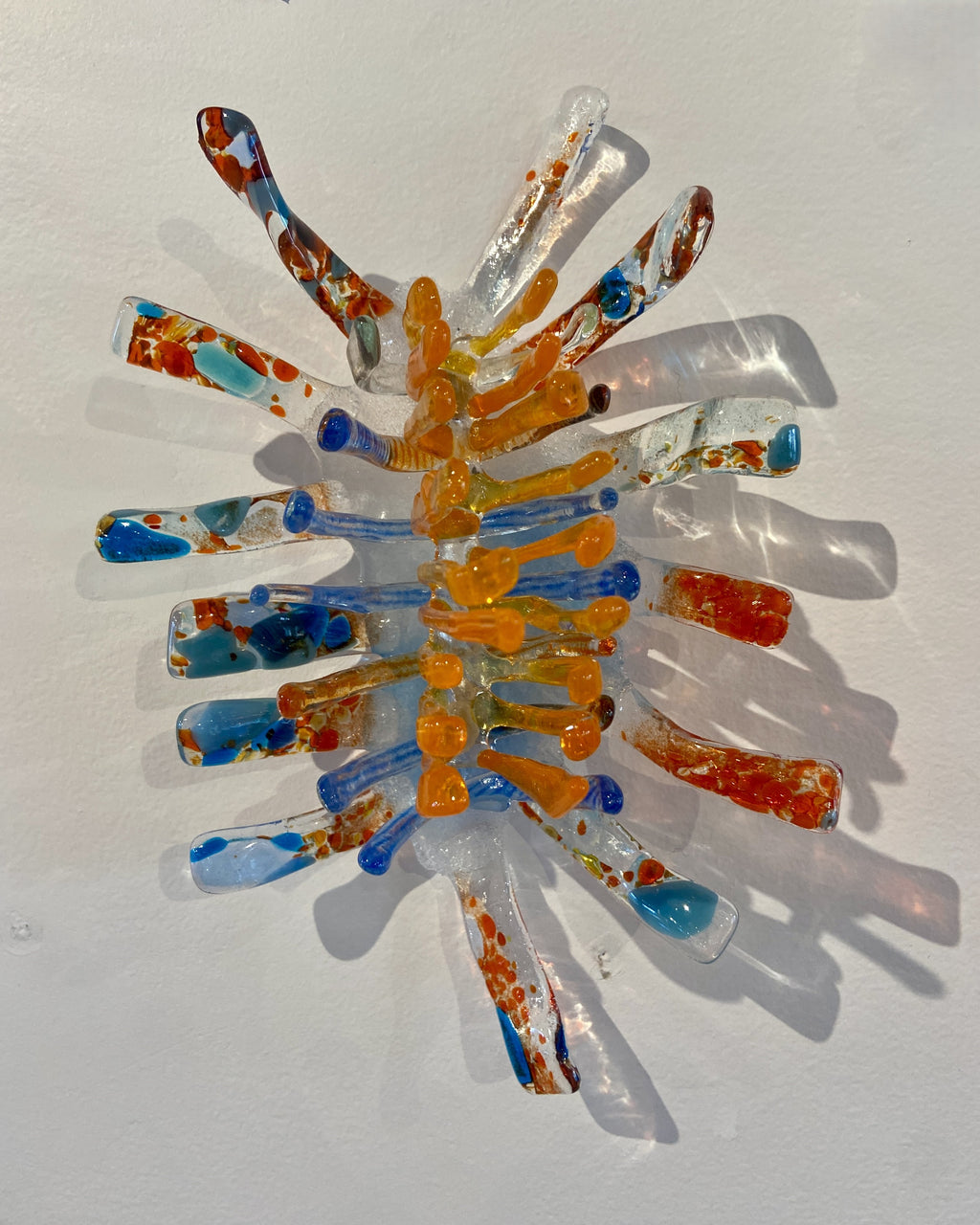 Nudibranch