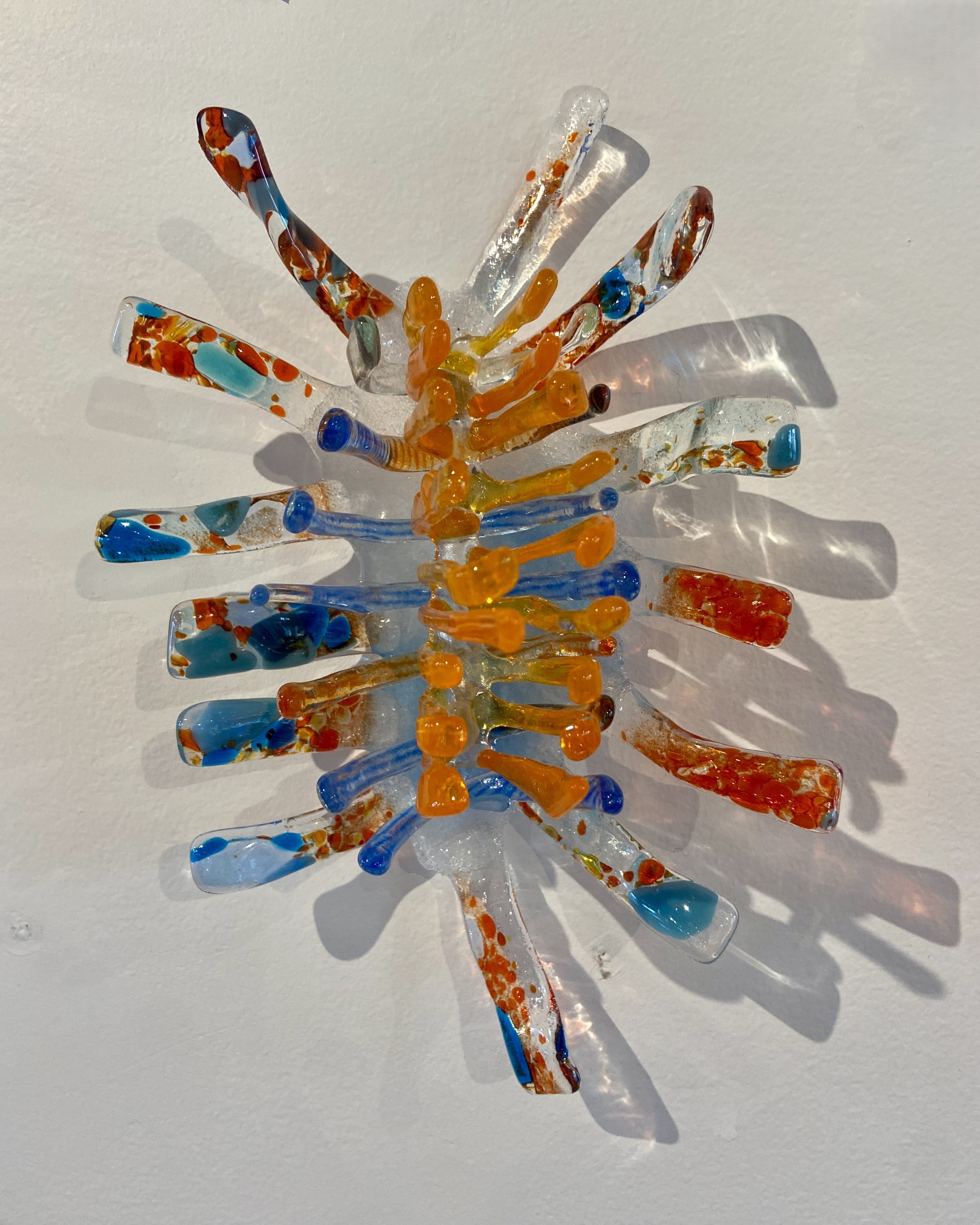 Nudibranch