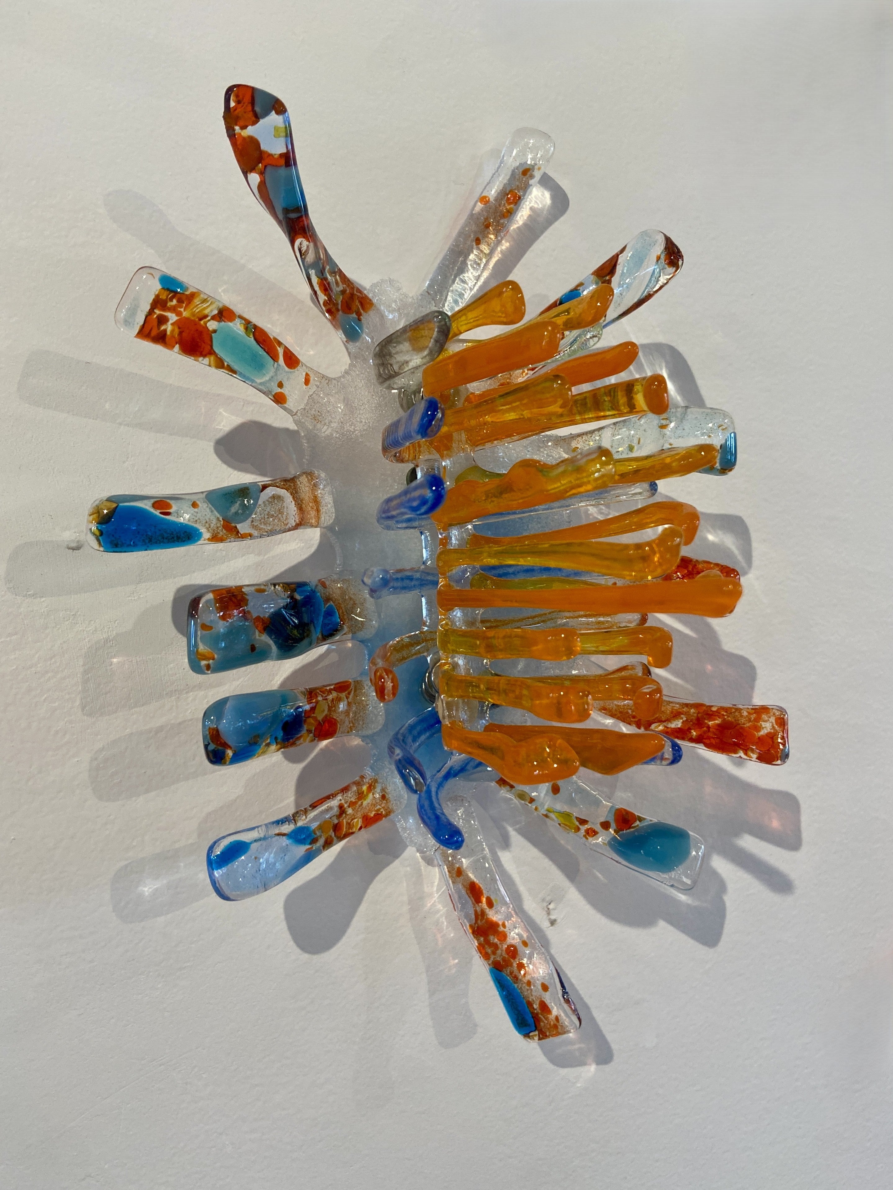 Nudibranch