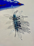 Nudibranch